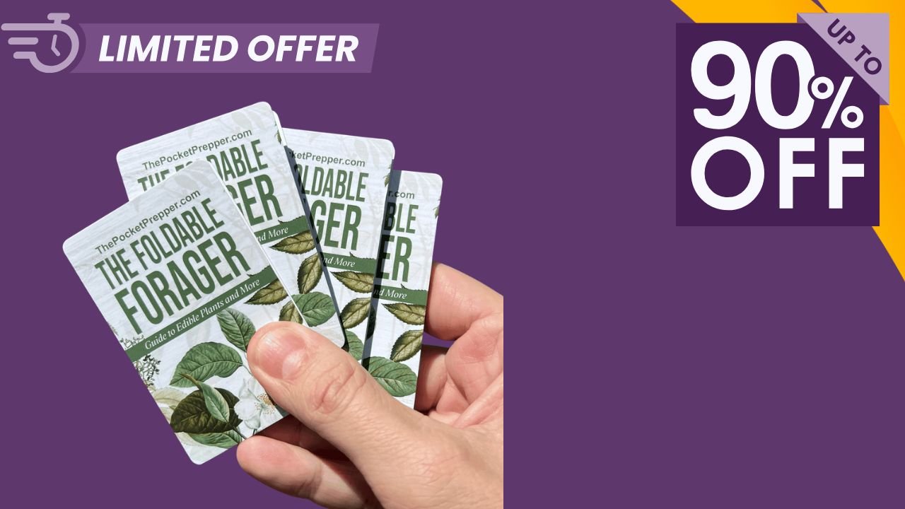 The Foldable Forager Reviews